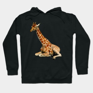 Resting Giraffe Hoodie